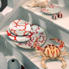 Assiettes porcelaine - Fa�ences - Cristal - Service Chinois