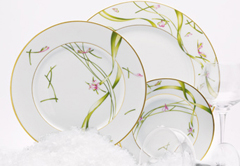 Amaryllis - Haviland