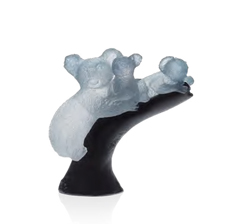 Koala - Daum