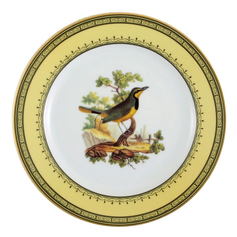 Assiette à dessert Merle à collier du Cap  de Bonne Espérance Jardin du roi - Ancienne Manufacture Royale