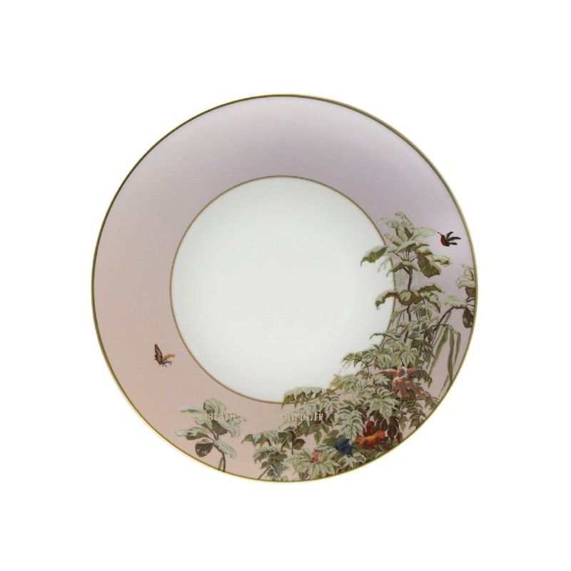 Assiette gastronomie Le Bresil - Haviland