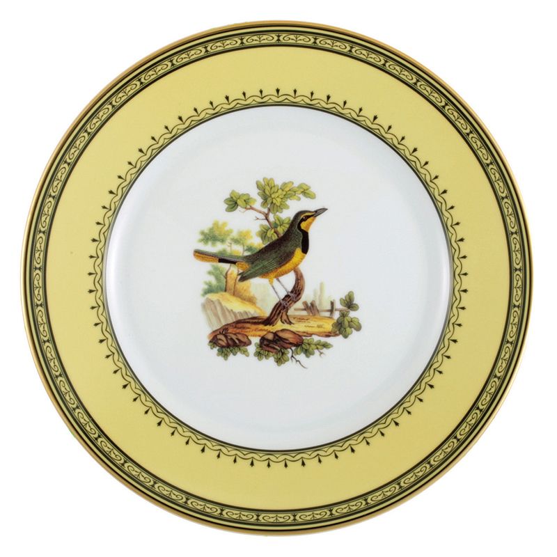 Assiette plate Merle à collier du Cap  de Bonne Espérance Jardin du roi - Ancienne Manufacture Royale