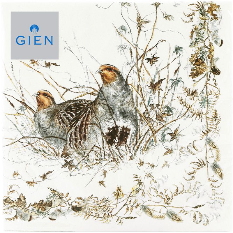 Boite/12 paquets de 20 serviettes papier 8004CSOLSE Sologne - Gien