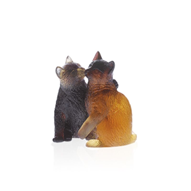 Chatons 05026 Chat - Daum