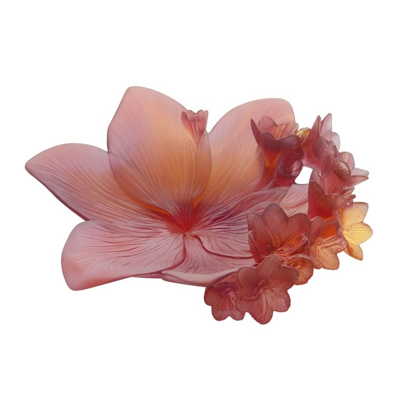 Coupe 05611 Safran - Daum