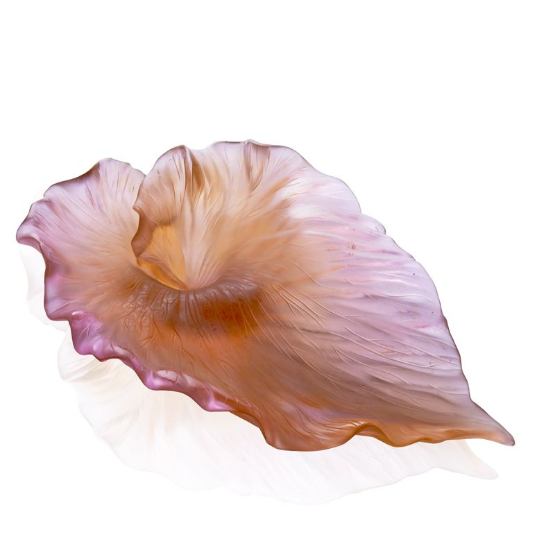 Coupe 05647-1 Arum - Daum