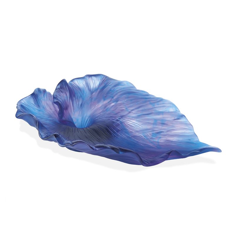 Coupe 05647 Arum - Daum