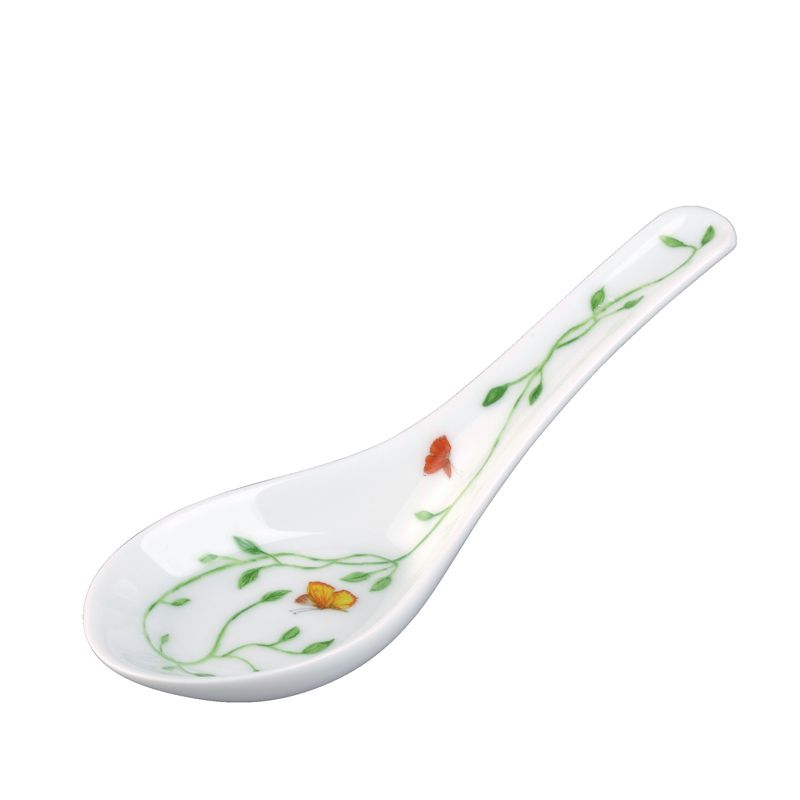 Chinese soup 0205-11-647014 Histoire Naturelle - Raynaud