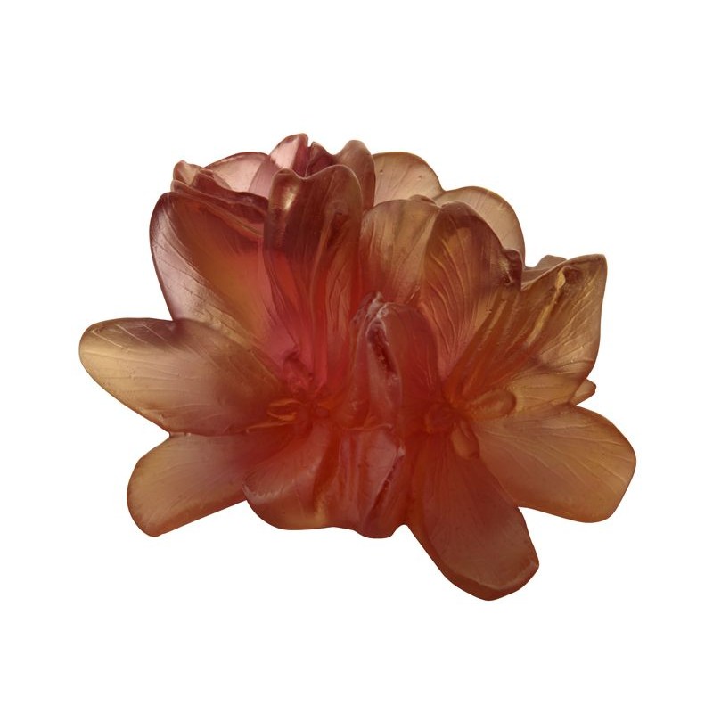 Fleur PM 05600 Safran - Daum