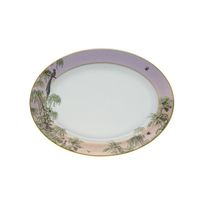 Plat ovale Le Bresil - Haviland