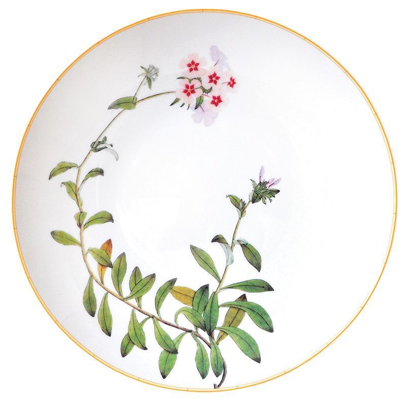 Plat rond creux 0488/21266 Jardin indien - Bernardaud