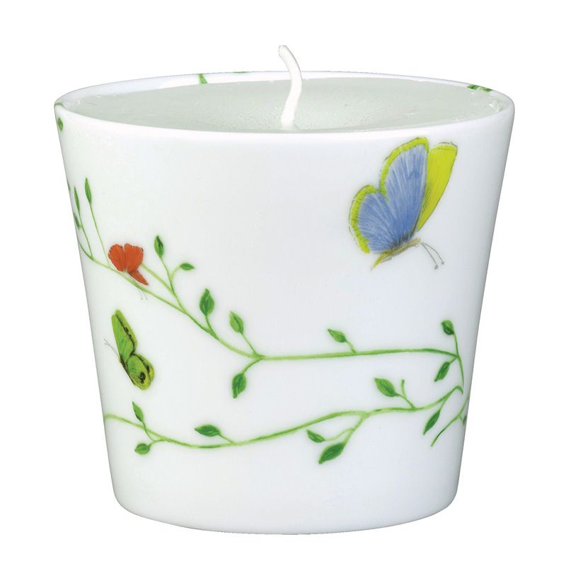 Candle pot 0205-33-607008  Histoire Naturelle - Raynaud