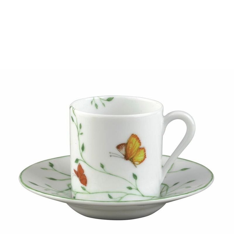 Coffee cup and saucer 0205-19-355013/305013 Histoire Naturelle - Raynaud