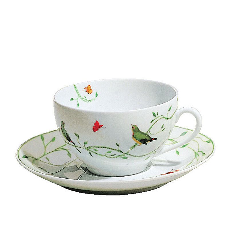 Breakfast cup and saucer  Histoire Naturelle - Raynaud