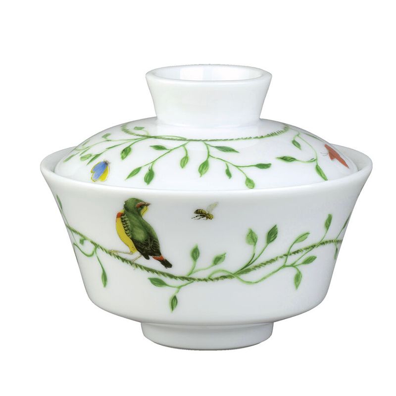 Chinese tea cup and saucer 0205-11-358009/308013/408009 Histoire Naturelle - Raynaud